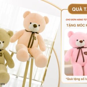 Gấu bông teddy yolo (2)